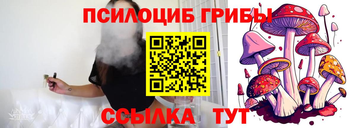 Галлюциногенные грибы прущие грибы Верхняя Пышма