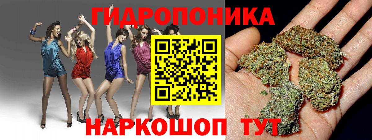 Каннабис ГИДРОПОН  Каннабис тримм  Шишки марихуана SATIVA & INDICA  Верхняя Пышма  Вход с VPN 